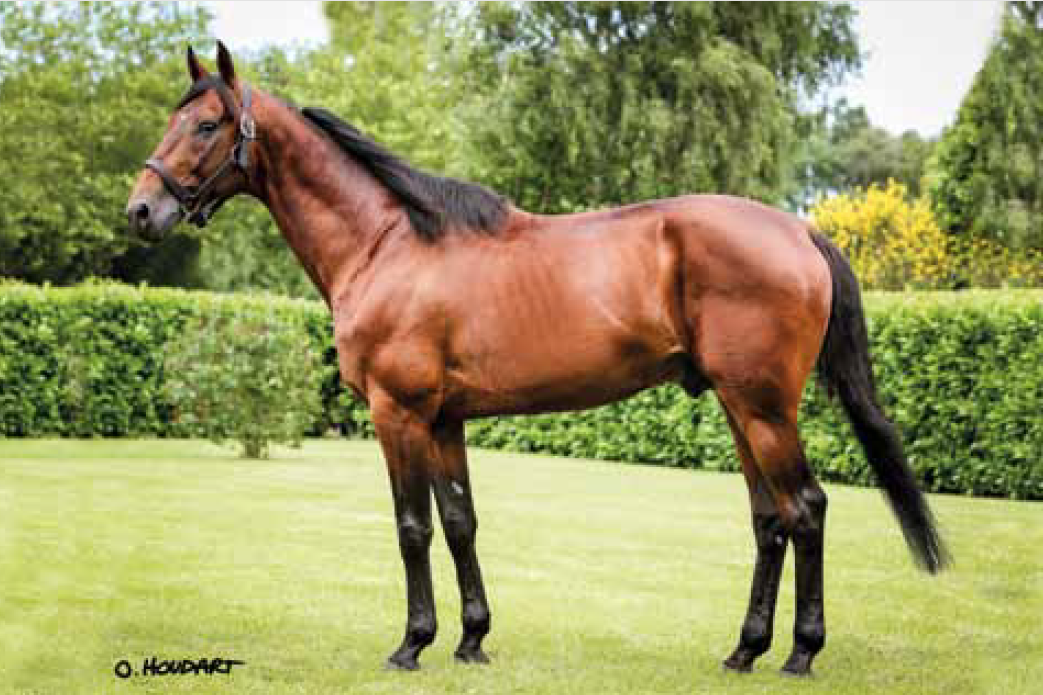 slider_horse_1.horse_nom}