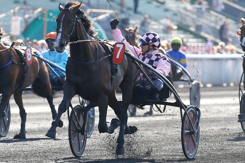 1er propriétaire et 1er éleveur du trot français en 2019